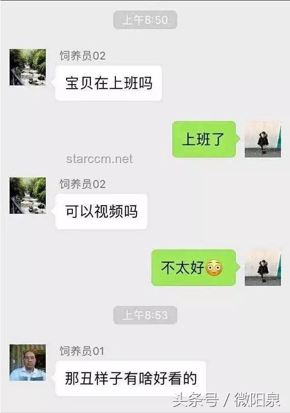 微信聊天记录，情感关系的创新透视镜，跨界解读